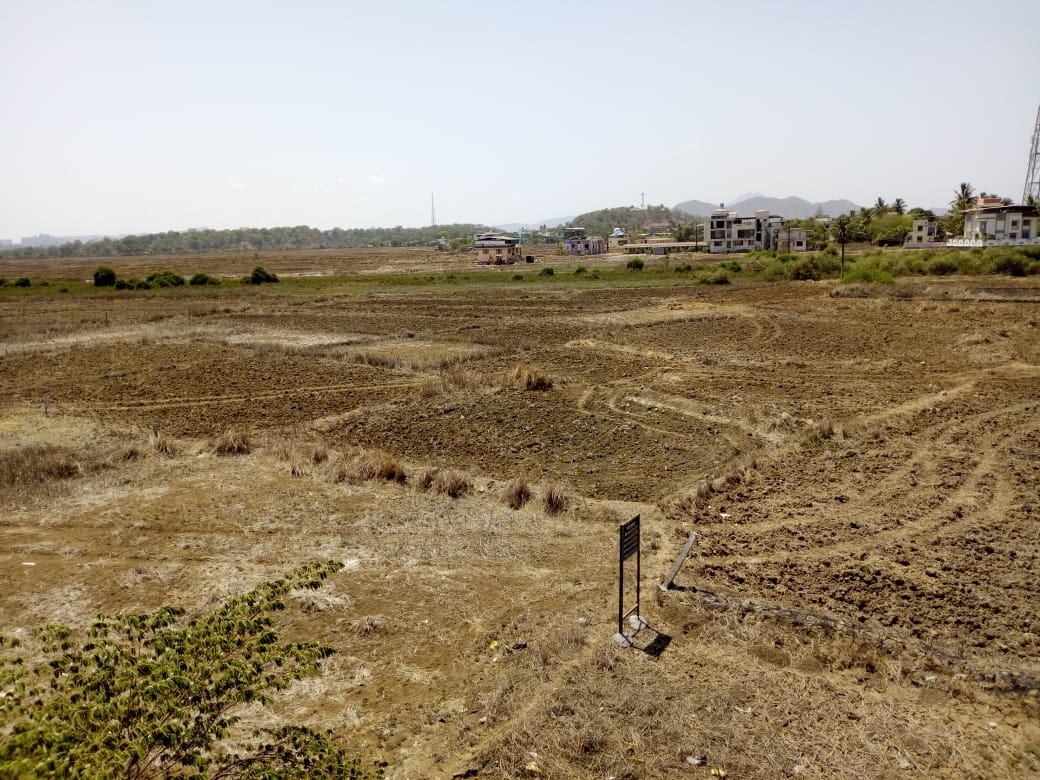 Koproli landscape with plots